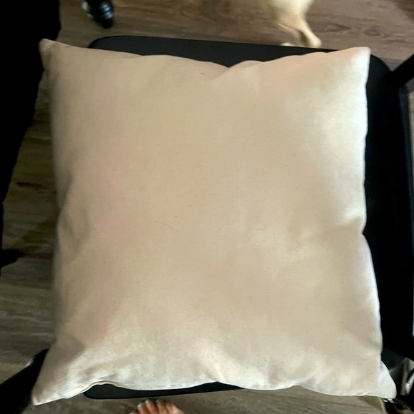 AEPhi Alpha Epsilon Phi Letters Foil Pillow 
Sorority college dorm room decor - Picture 4 of 5